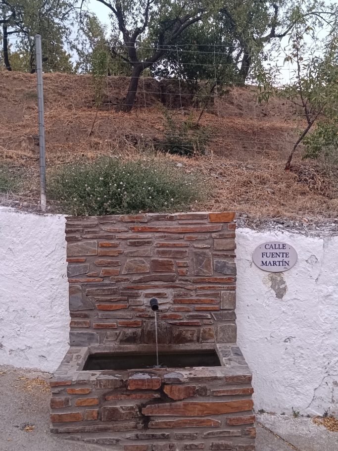 FUENTE MARTÍN