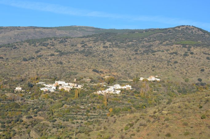 PANORAMICA CARRETERA A MAIRENA